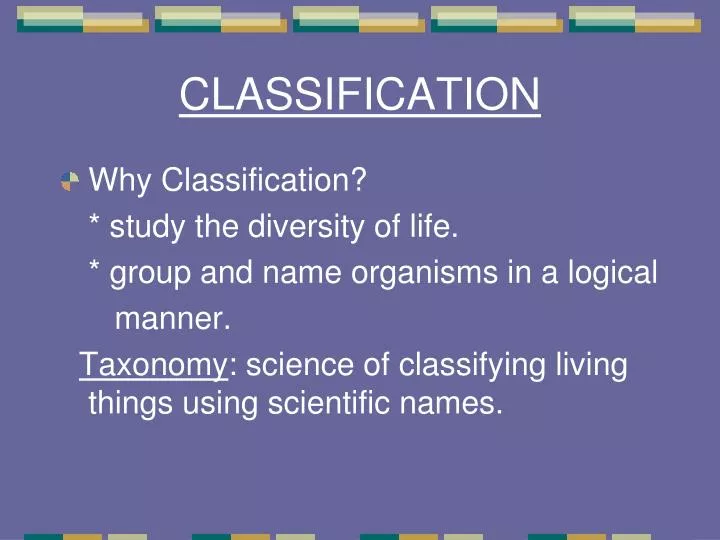 classification n.