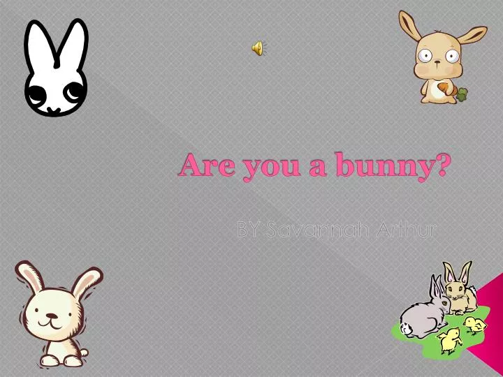 are you a bunny n.