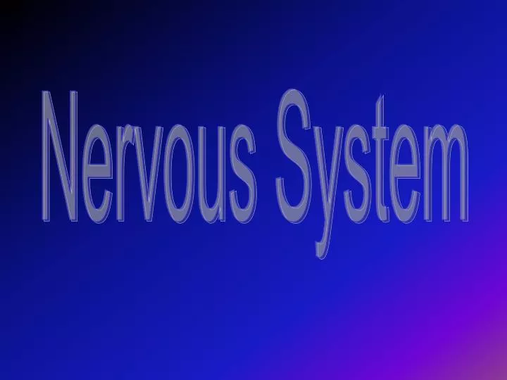 PPT - Nervous System PowerPoint Presentation, free download - ID:6843033