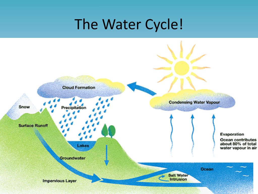 PPT - Phase Changes in Water PowerPoint Presentation, free download ...