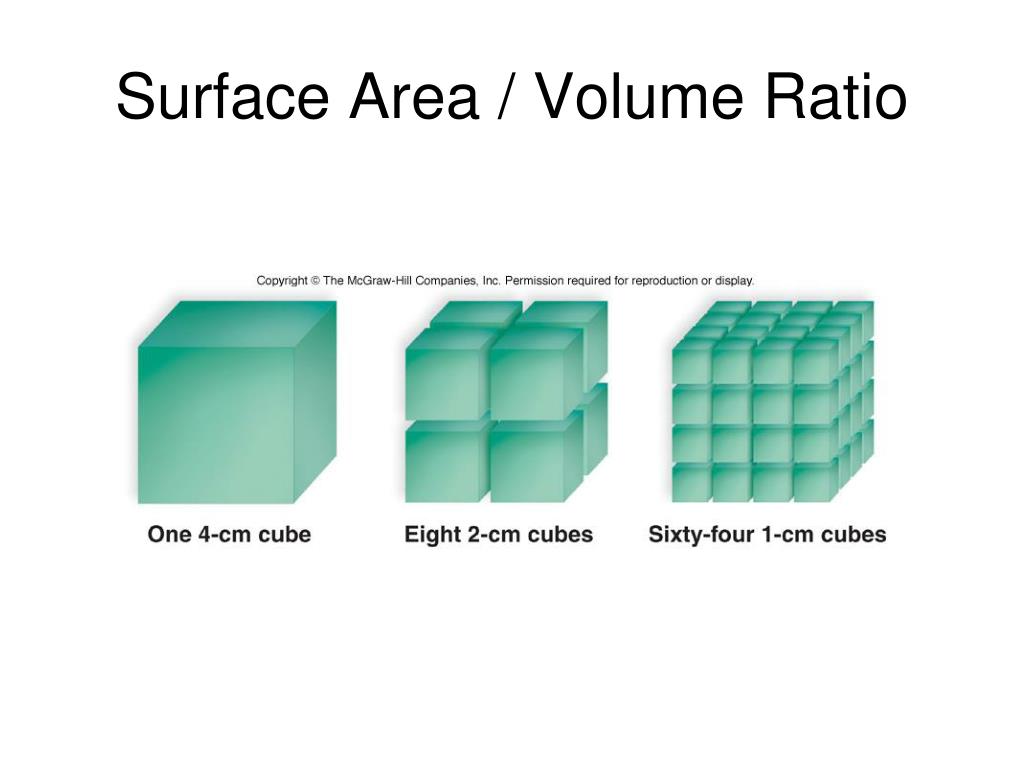 Low area. Volume and surface area. Volume ratio. Surface area Volume Formulas. Volume ratio компрессоров.