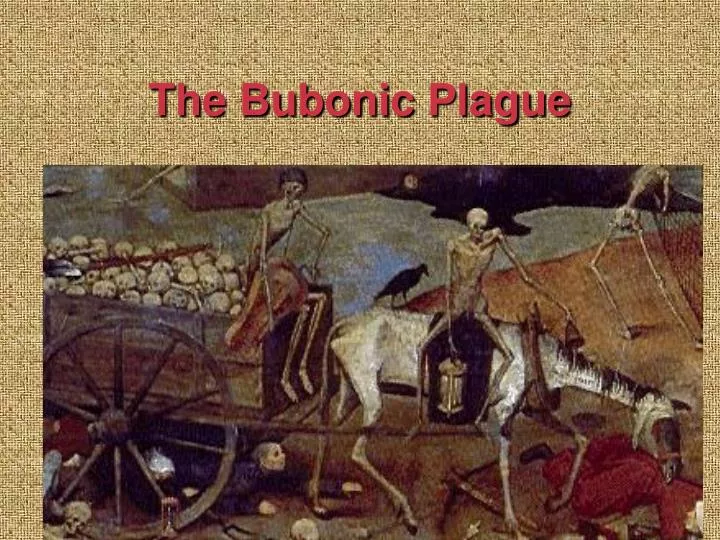 the bubonic plague n.