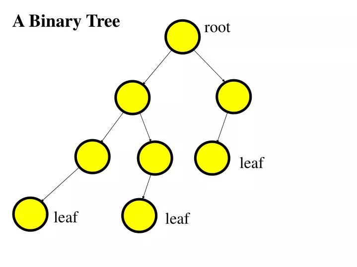 PPT - A Binary Tree PowerPoint Presentation, free download - ID:6847559