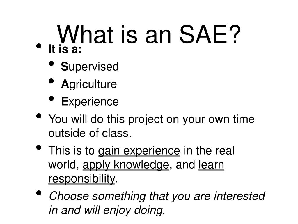 sae project presentation example