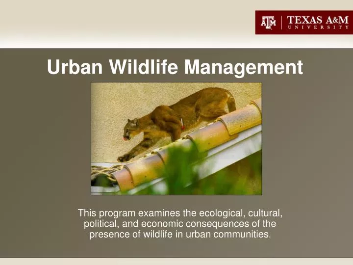 urban wildlife management n.