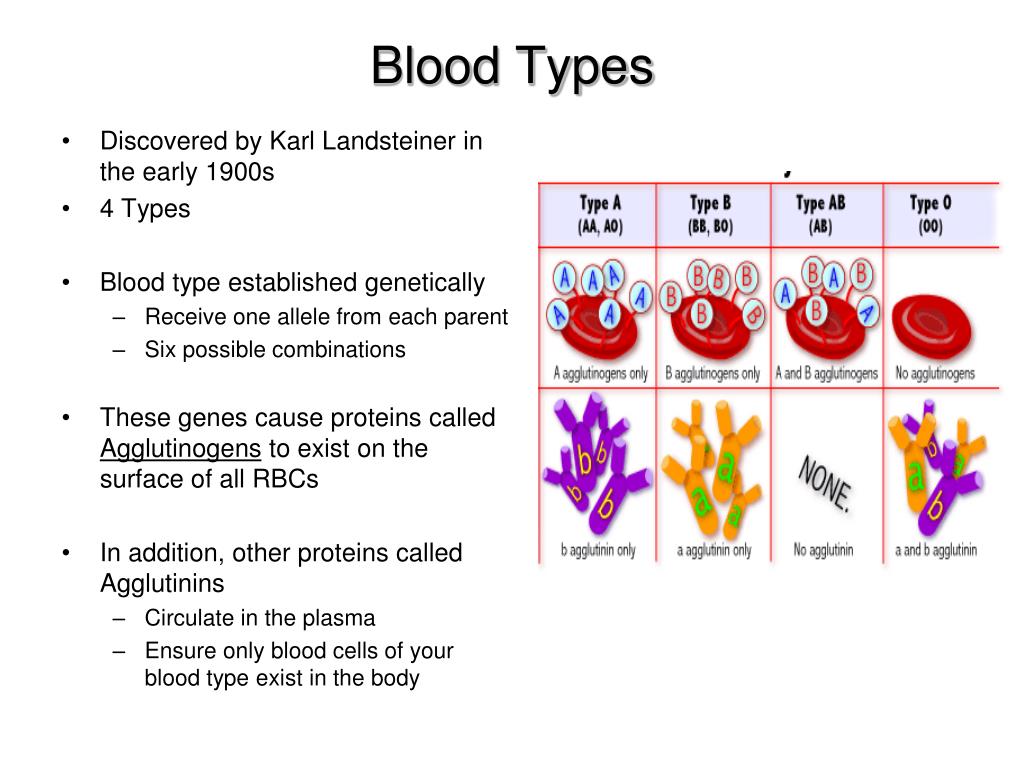 PPT Blood Types And Transfusions PowerPoint Presentation Free Download ID 6848544 PPT Blood Types And Transfusions PowerPoint Presentation Free Download ID 6848544