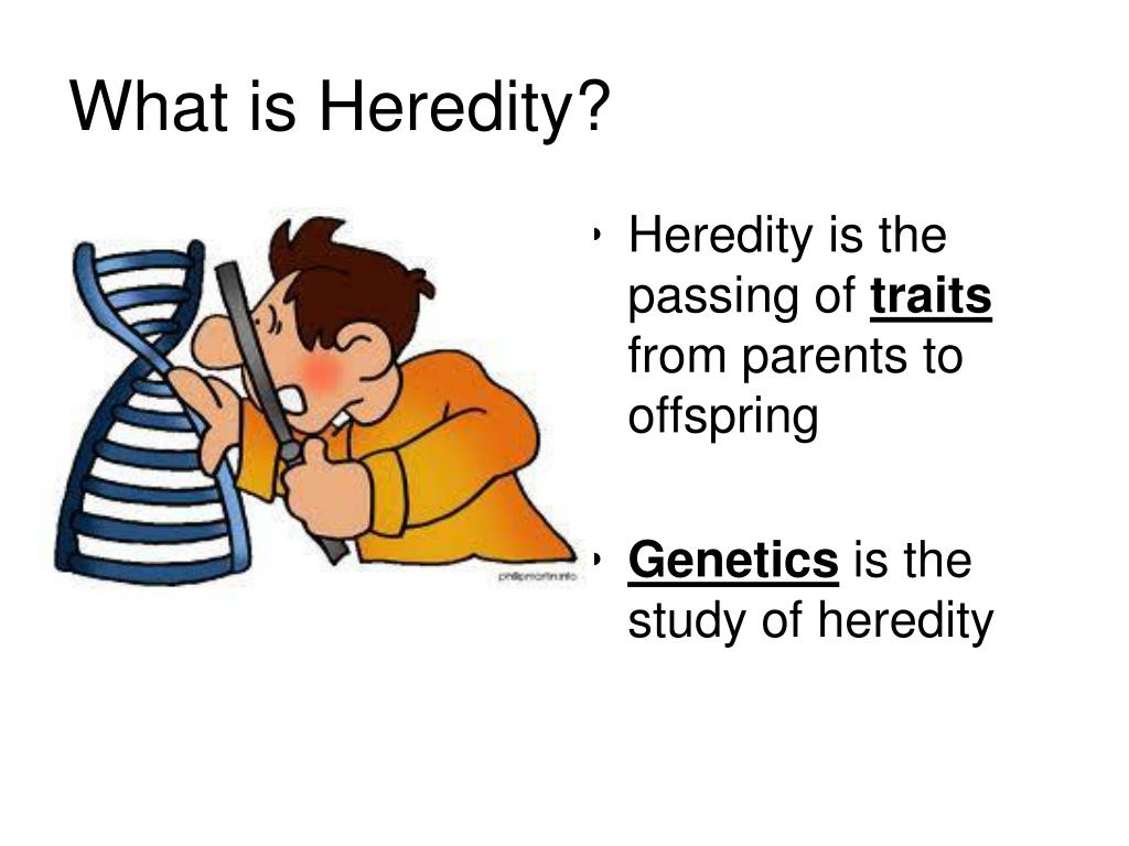 case study heredity