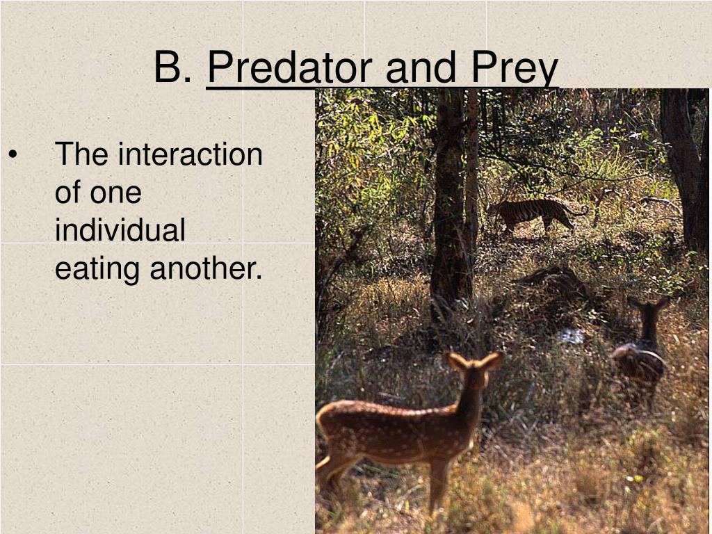PPT Interactions among organisms PowerPoint Presentation, free