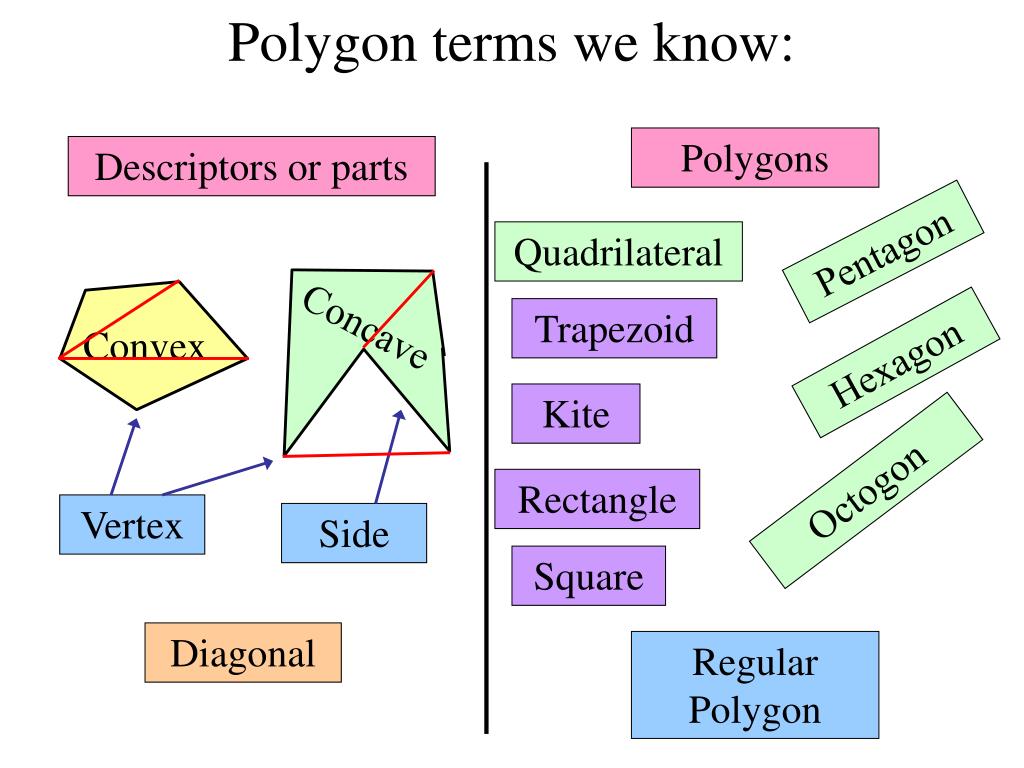 chapter 6 polygons and quadrilaterals practice and problem solving exercises