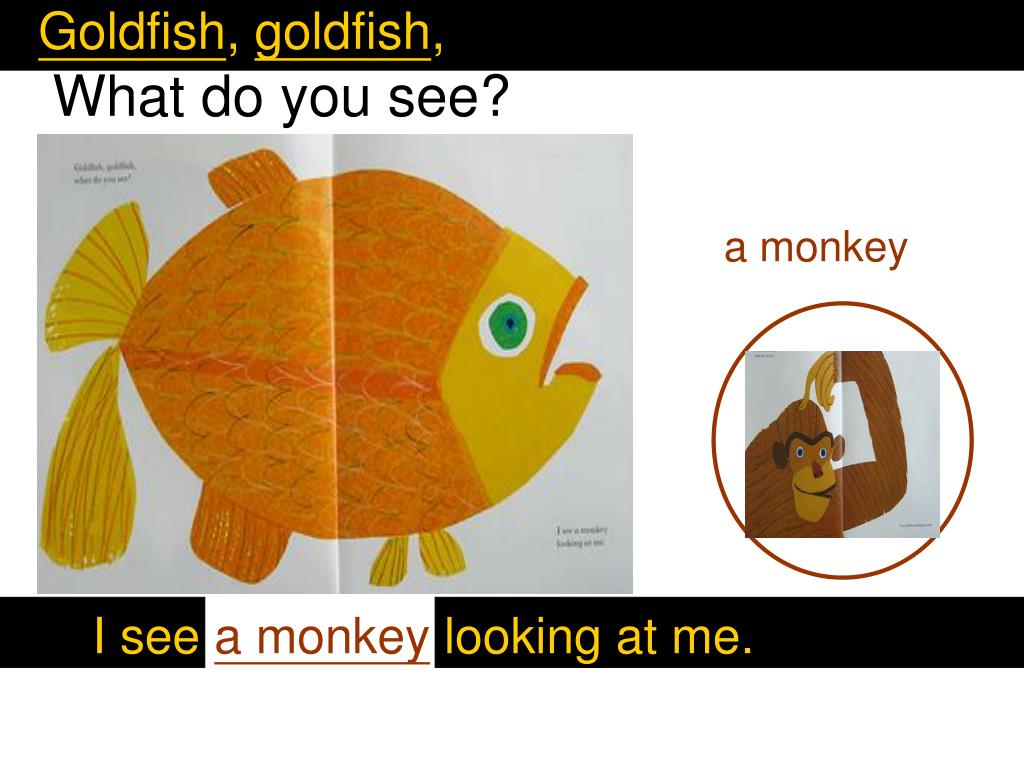 brown bear brown bear what do you see goldfish
