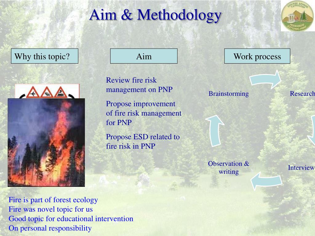 PPT - Prepared by: Maria Dimopoulou Galatia Politopoulou Gizem Ş ahin ...