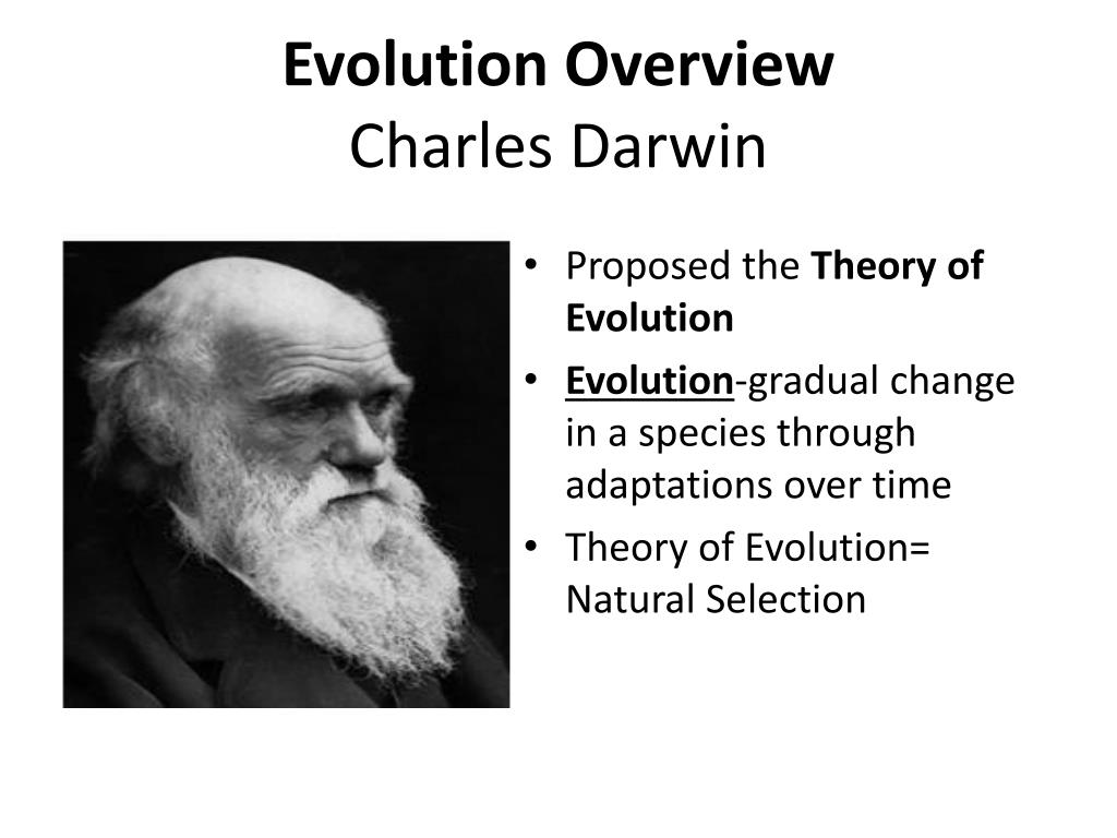 theory of evolution given by charles darwin