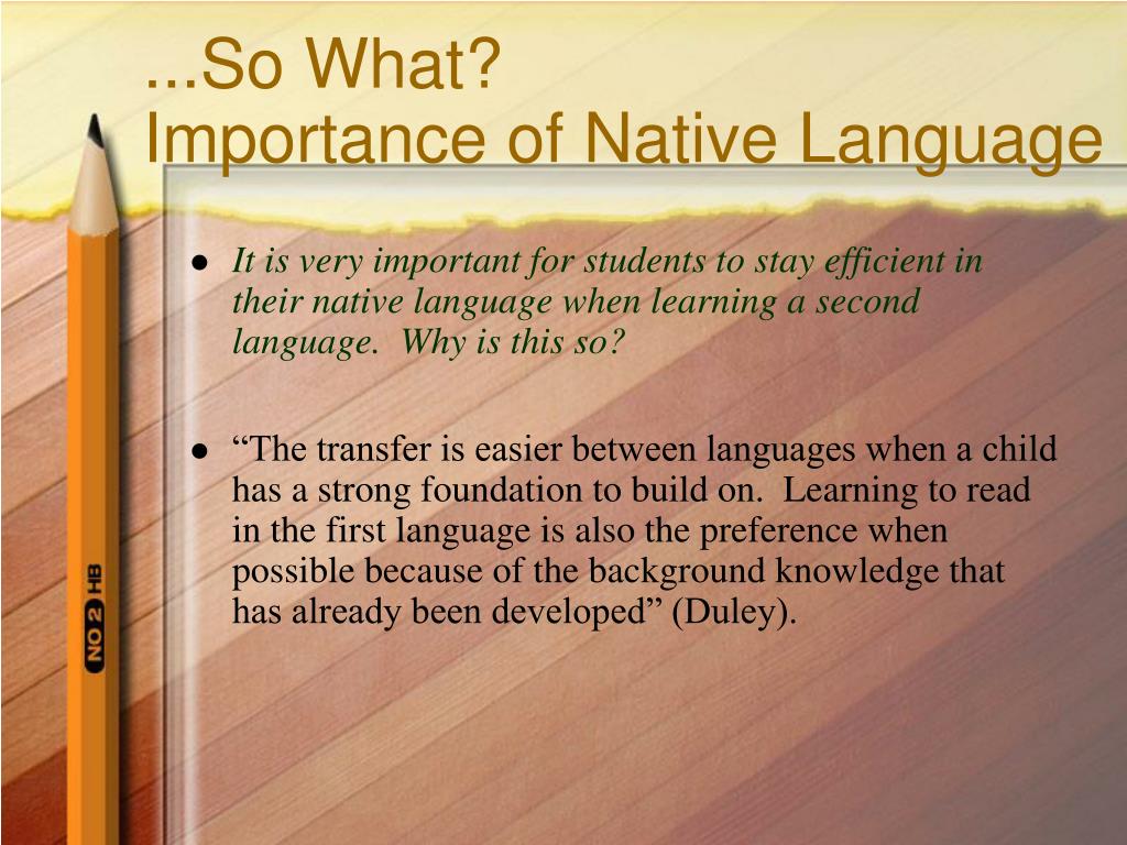importance of native language essay