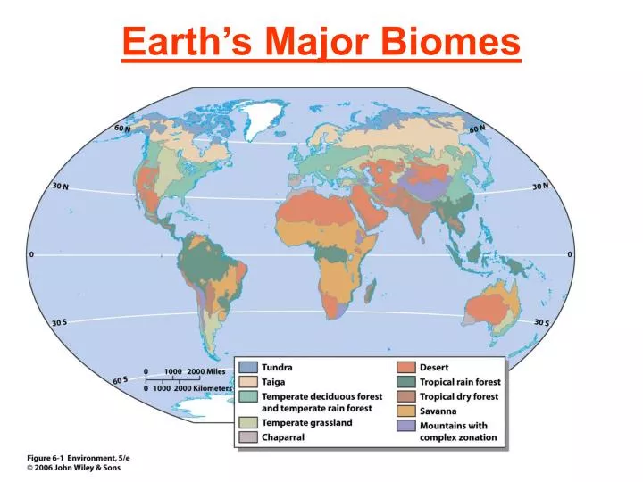 PPT Earth s Major Biomes PowerPoint Presentation Free Download ID ppt-earth-s-major-biomes-powerpoint-presentation-free-download-id