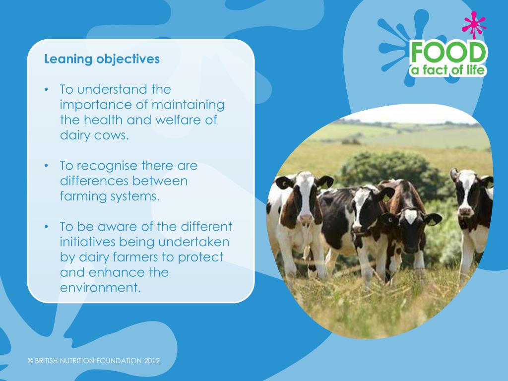 literature review of dairy farming