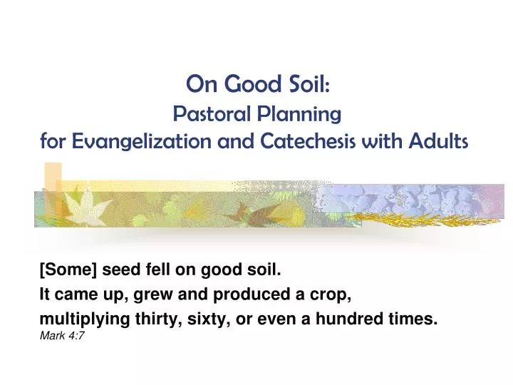 on good soil pastoral planning for evangelization and catechesis with adults n.