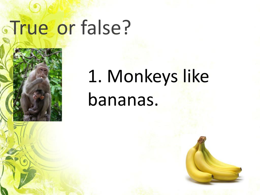 Do Monkeys like Bananas ответ на вопрос. Does Monkeys like Bananas?. She like bananas