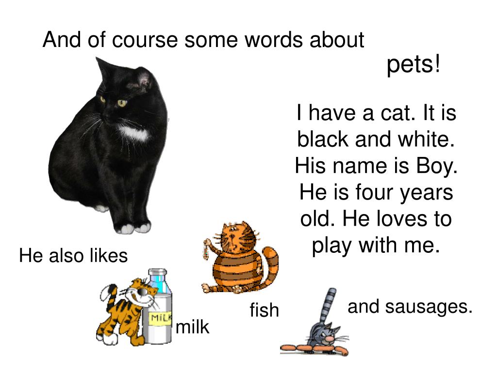 My pet английский 5 класс. Проекты на тему my Pet. Английский язык my Pet. Проект my Pet 5 класс. Проект my Pet на английском языке 3 класс.