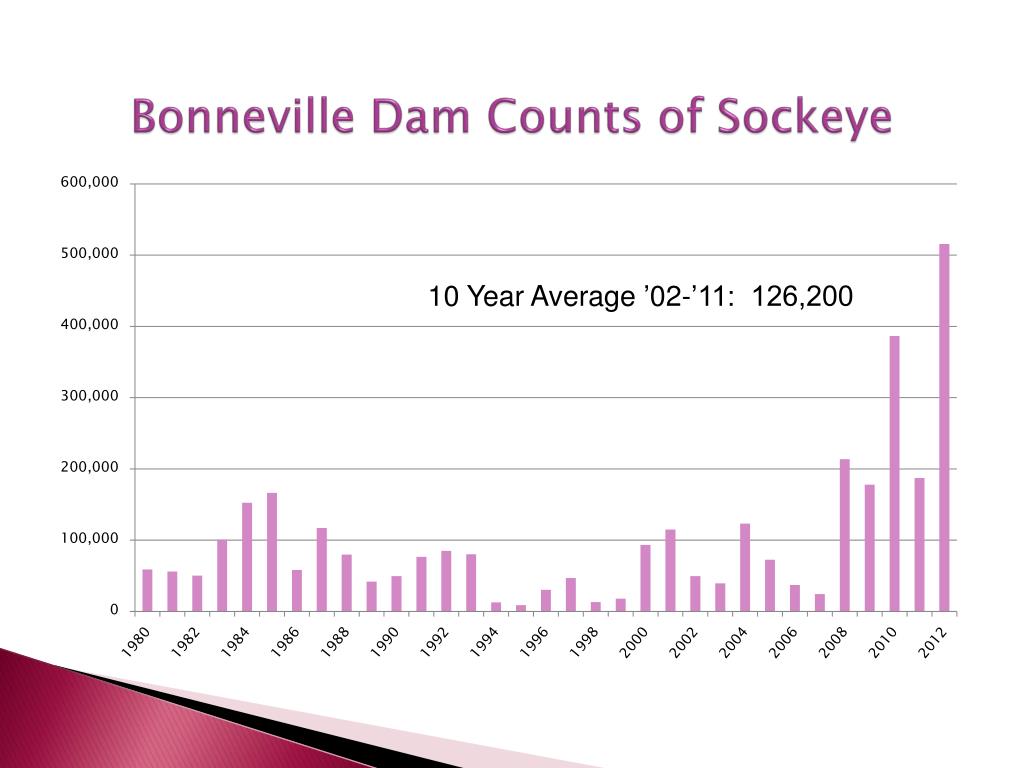 PPT Columbia River Salmon and Steelhead Returns PowerPoint Presentation ID6865097
