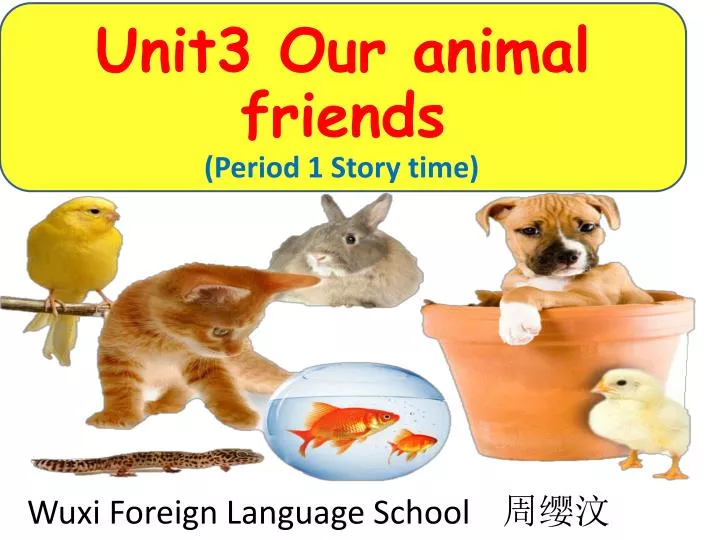 PPT - Unit3 Our animal friends PowerPoint Presentation, free download -  ID:6870535
