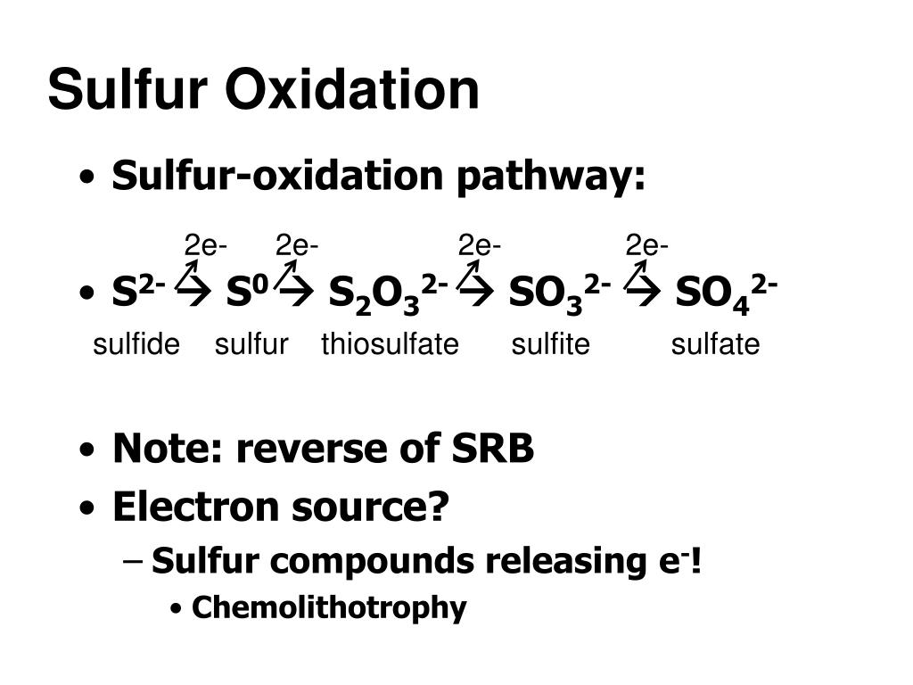 What Is The Oxidation Number Of Sulfur In Sulfuric Acid PPT - Case Study: Sulfur and Iron Oxidizing Bacteria PowerPoint