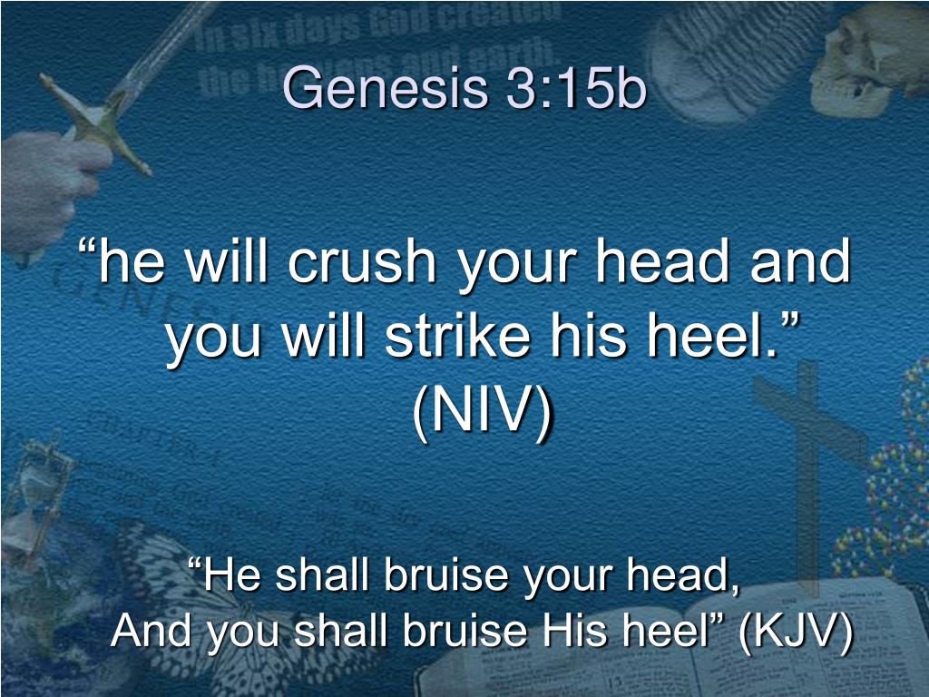 And I will put enmity between thee and the woman, and between thy seed and  her seed; it shall bruise thy head, and thou shalt bruise h... | Instagram