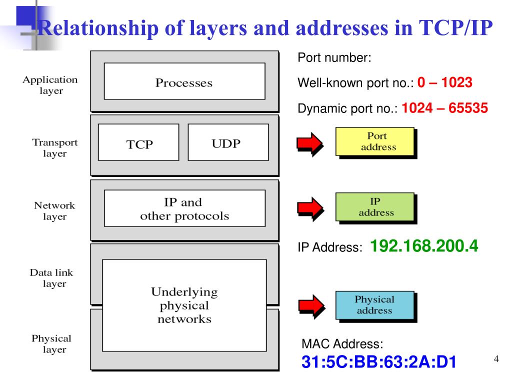 Порт tcp ip. 2 Сетевых протокола TCP/IP. 7 Уровней протоколы TCP/IP. Протокол TCP схема. Структура стека TCP/IP.