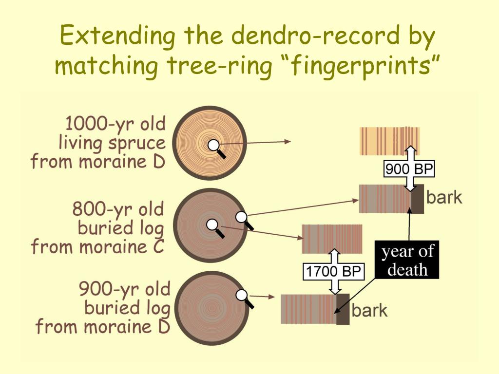 Match tree. Quaternary dating methods.