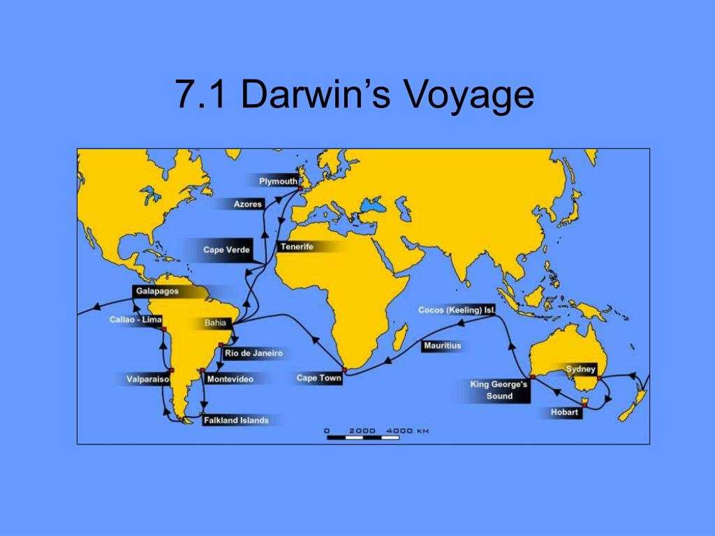 the voyage of charles darwin part 6