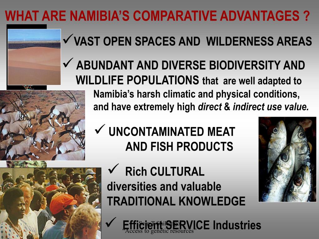 PPT - The issue of bio-trade and bio-prospecting in Namibia: An