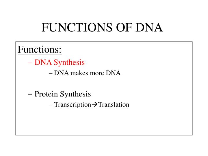 what are 3 functions of dna
