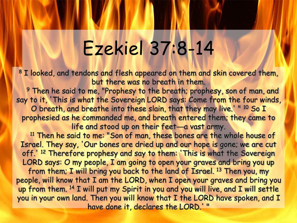 ppt-ezekiel-37-1-14-powerpoint-presentation-free-download-id-6878711