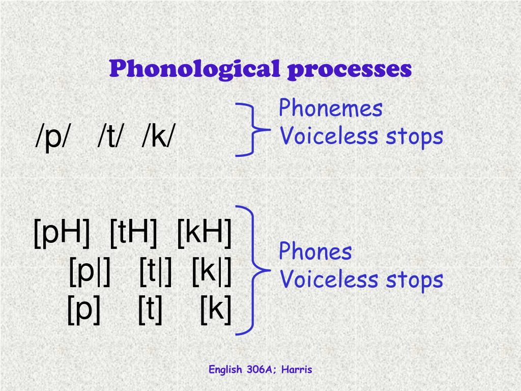 phonological processes elimination