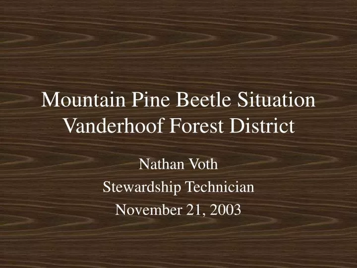 mountain pine beetle situation vanderhoof forest district n.