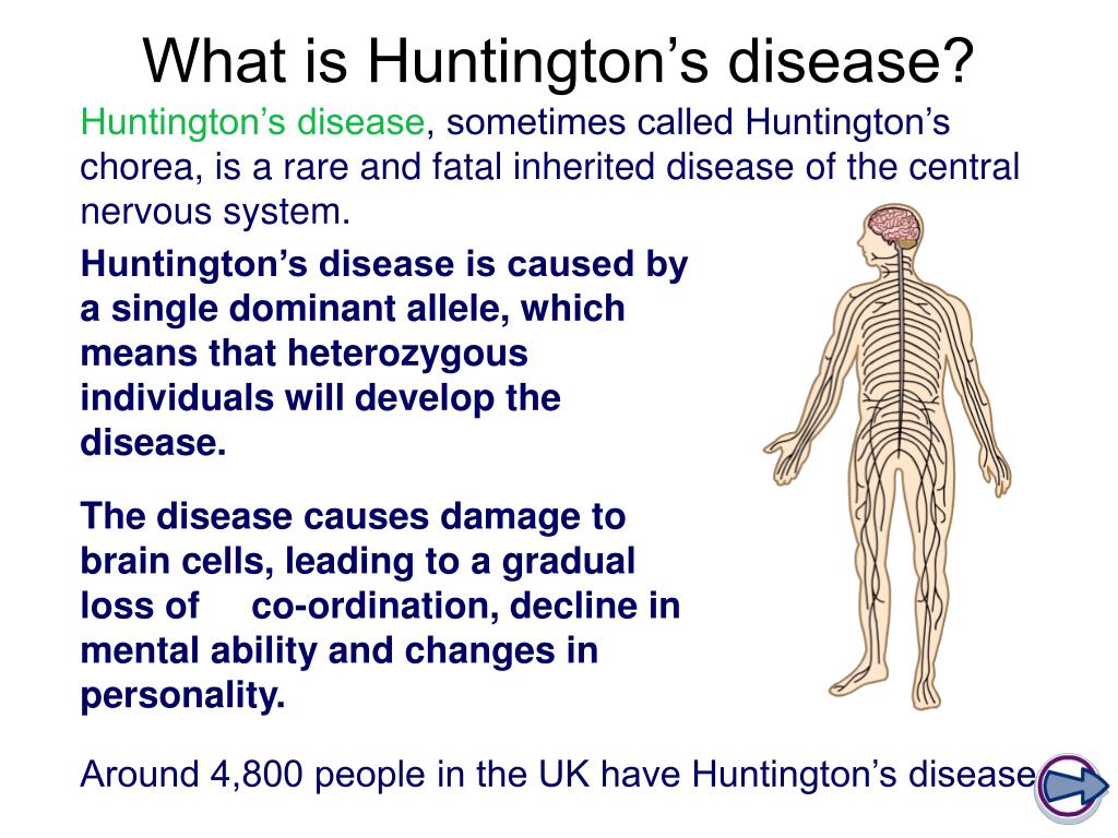 PPT - Huntington’s Chorea PowerPoint Presentation, free download - ID