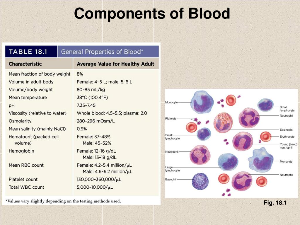 Тест клетки крови. Blood components. Blood Cells and their functions. Property Blood. Main components of Blood.