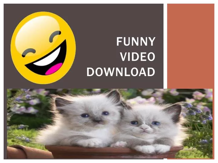 PPT - Funny Video Download PowerPoint Presentation, free download -  ID:6884093