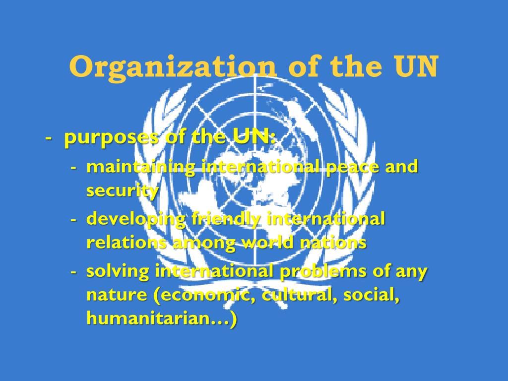 assignment on united nations organisation