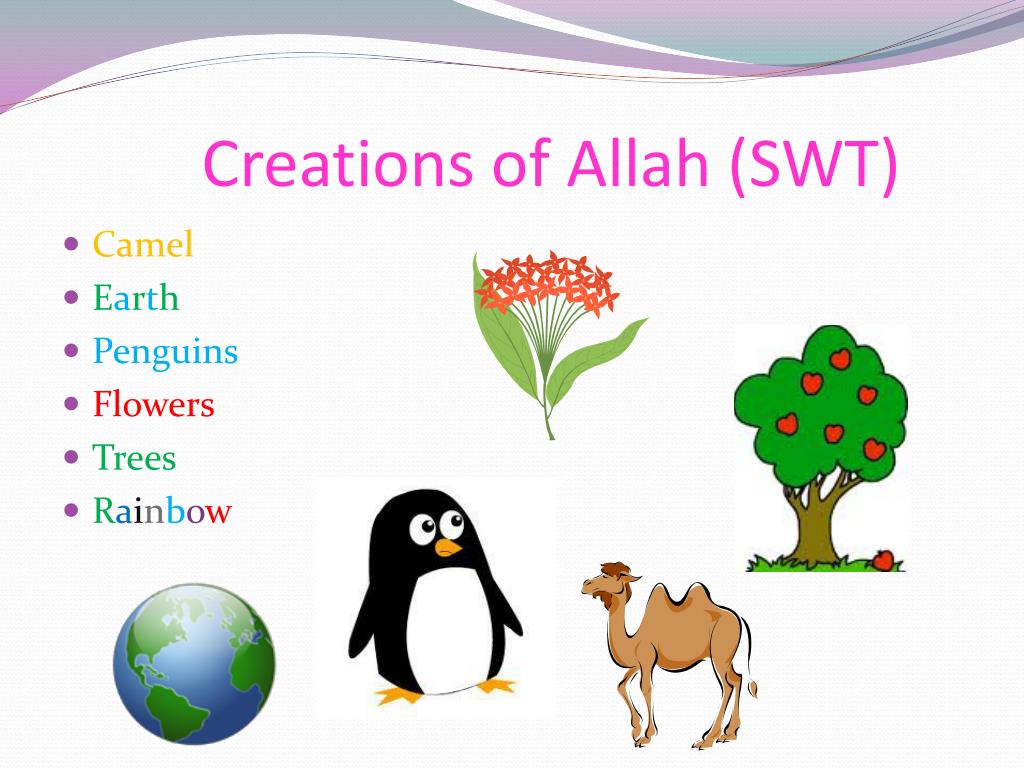Ppt creations of allah swt powerpoint presentation free download
