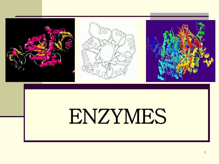 PPT ENZYMES PowerPoint Presentation Free Download ID 6886656