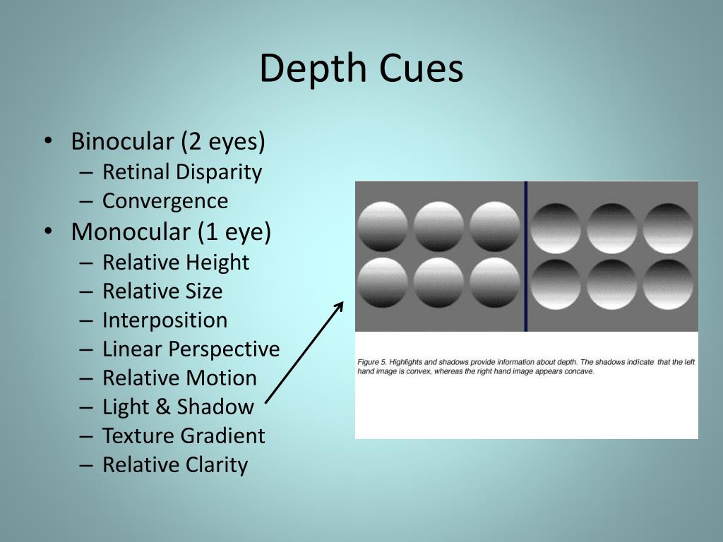 PPT - Understanding Sensation and Perception: Key Concepts and Group ...