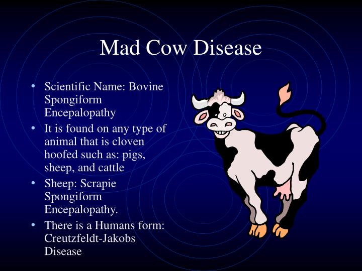 Mad Cow Disease In South Carolina 2024 Anny Malina