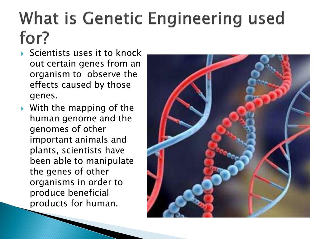 genetic engineering presentation