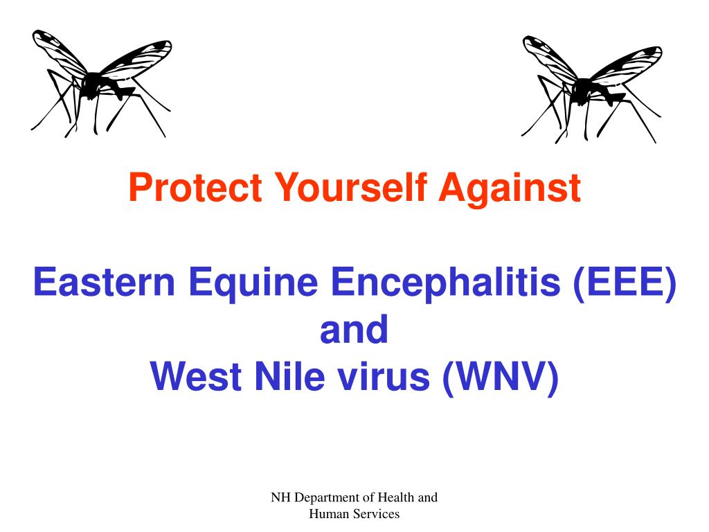ppt protect yourself against
