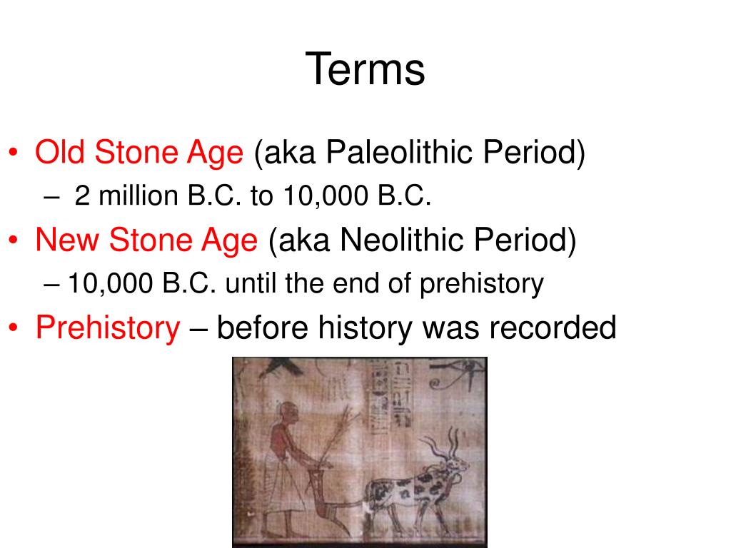 Why was the neolithic revolution a turning point