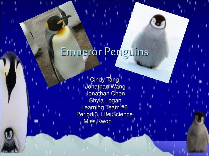 emperor penguins n.