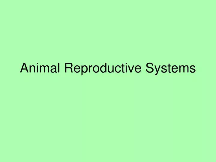 PPT - Animal Reproductive Systems PowerPoint Presentation, free download -  ID:6895169