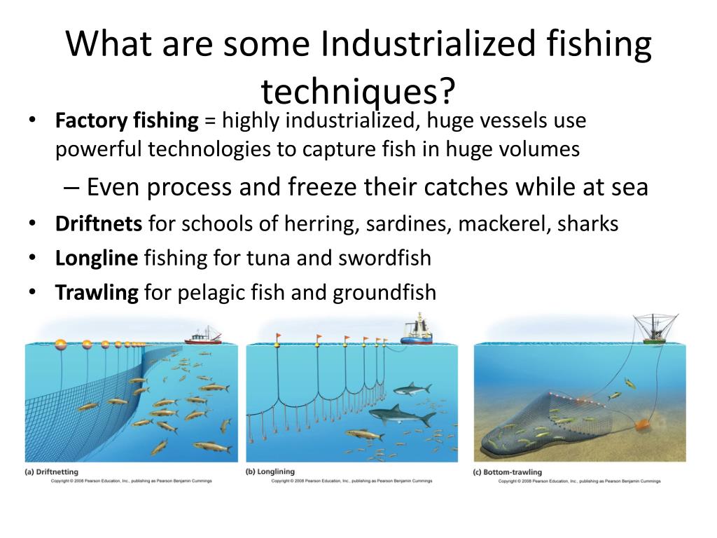 fishing techniques
