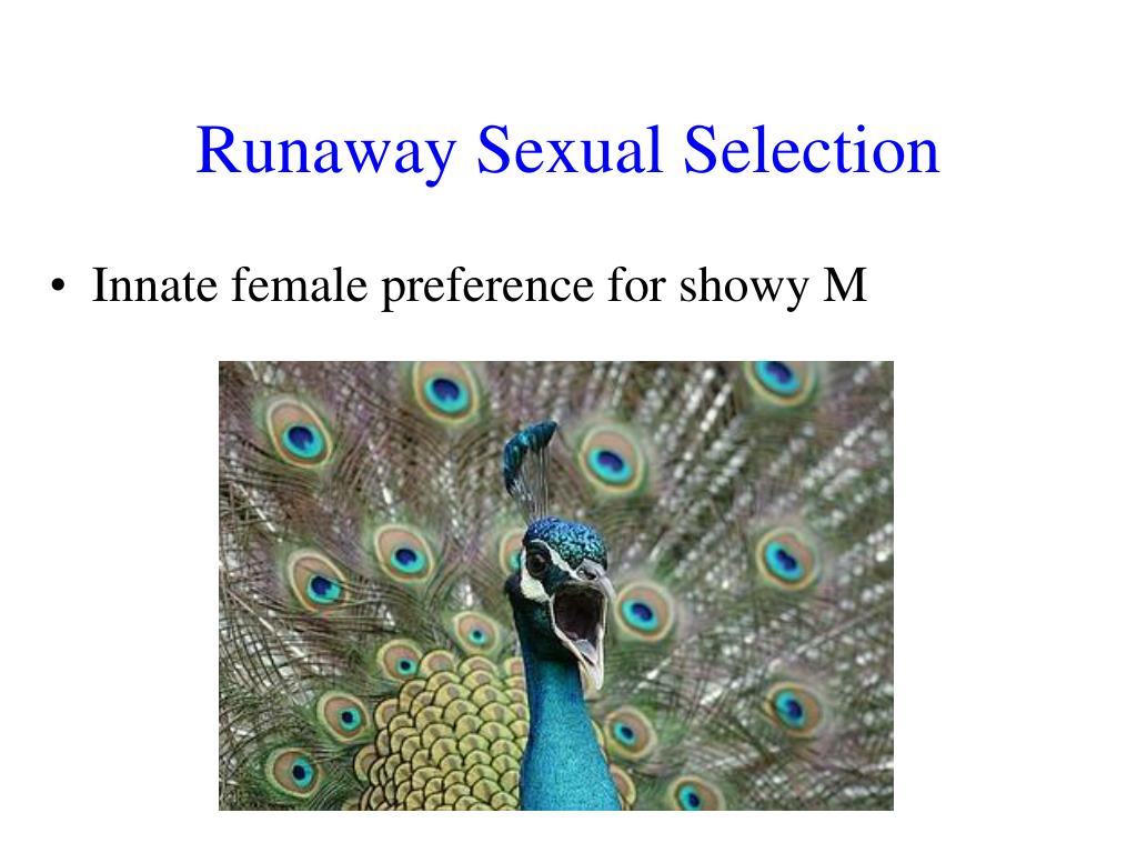 PPT Sexual Selection PowerPoint Presentation Free Download ID 6899581