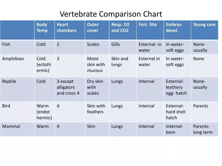 Vertebrate Characteristics Chart